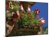 Display of Flags to Mark Swiss National Day, Lauterbrunnen, Bern, Swizerland, Europe-Tomlinson Ruth-Mounted Photographic Print