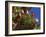 Display of Flags to Mark Swiss National Day, Lauterbrunnen, Bern, Swizerland, Europe-Tomlinson Ruth-Framed Photographic Print