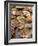 Display of Fresh Scallops, Venice, Italy-Wendy Kaveney-Framed Photographic Print