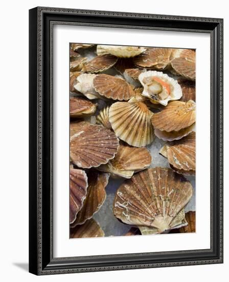 Display of Fresh Scallops, Venice, Italy-Wendy Kaveney-Framed Photographic Print