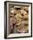 Display of Fresh Scallops, Venice, Italy-Wendy Kaveney-Framed Photographic Print