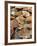 Display of Fresh Scallops, Venice, Italy-Wendy Kaveney-Framed Photographic Print