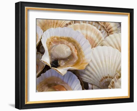 Display of Fresh Scallops, Venice, Italy-Wendy Kaveney-Framed Photographic Print