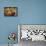 Display of Fruit, Nuts, and Grains at Rancho La Puerta, Tecate, Mexico-Jaynes Gallery-Framed Premier Image Canvas displayed on a wall