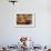 Display of Fruit, Nuts, and Grains at Rancho La Puerta, Tecate, Mexico-Jaynes Gallery-Framed Photographic Print displayed on a wall