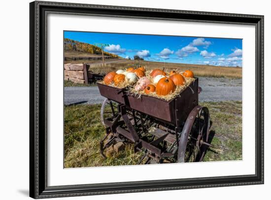 Display of Halloween Pumpkins, Hastings Mesa, Colorado - near Ridgway-null-Framed Photographic Print