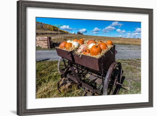 Display of Halloween Pumpkins, Hastings Mesa, Colorado - near Ridgway-null-Framed Photographic Print