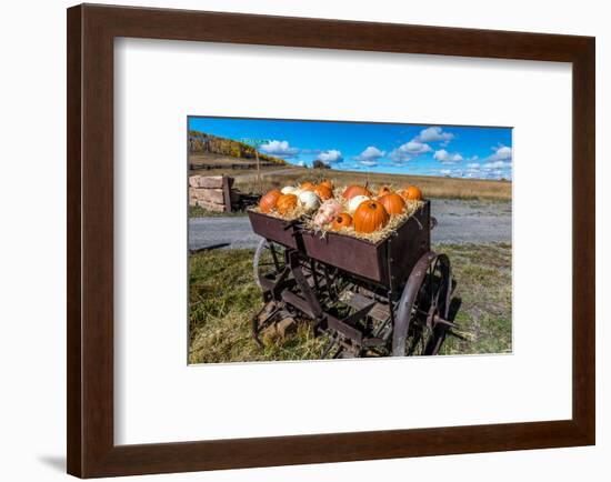 Display of Halloween Pumpkins, Hastings Mesa, Colorado - near Ridgway-null-Framed Photographic Print