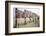 Display of Posters Mounted on Pilings in the Sand, Montauk Point, Long Island, New York, 1967-Henry Groskinsky-Framed Photographic Print