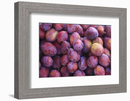 Display of Red Plums in the Caldas Da Rainha Open Air Market in Portugal-Mallorie Ostrowitz-Framed Photographic Print