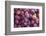 Display of Red Plums in the Caldas Da Rainha Open Air Market in Portugal-Mallorie Ostrowitz-Framed Photographic Print