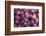 Display of Red Plums in the Caldas Da Rainha Open Air Market in Portugal-Mallorie Ostrowitz-Framed Photographic Print