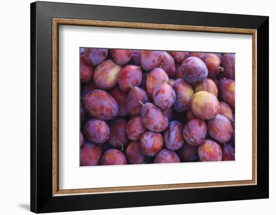 Display of Red Plums in the Caldas Da Rainha Open Air Market in Portugal-Mallorie Ostrowitz-Framed Photographic Print