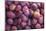 Display of Red Plums in the Caldas Da Rainha Open Air Market in Portugal-Mallorie Ostrowitz-Mounted Photographic Print