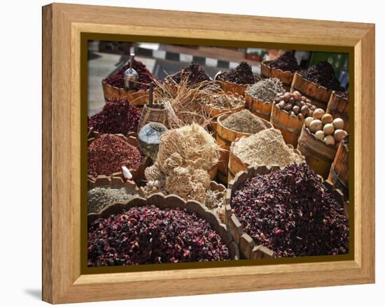 Display of Spices and Herbs in Market, Sharm El Sheikh, Egypt, North Africa, Africa-Adina Tovy-Framed Premier Image Canvas