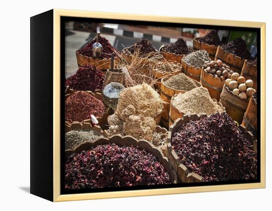 Display of Spices and Herbs in Market, Sharm El Sheikh, Egypt, North Africa, Africa-Adina Tovy-Framed Premier Image Canvas