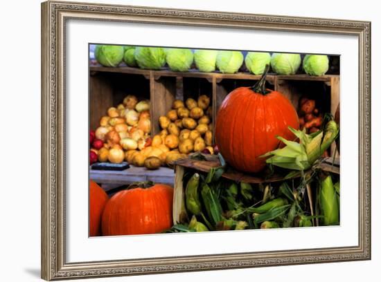 Display of Vegetables, Forsyth Park, Savannah, Georgia, USA-Joanne Wells-Framed Photographic Print