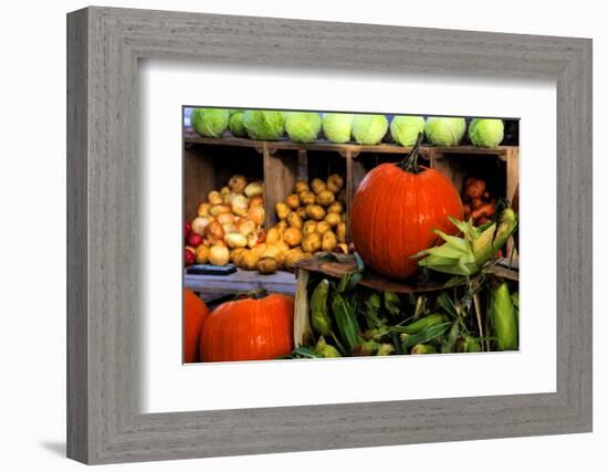 Display of Vegetables, Forsyth Park, Savannah, Georgia, USA-Joanne Wells-Framed Photographic Print