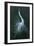 Displaying Egret-Michael Jackson-Framed Giclee Print