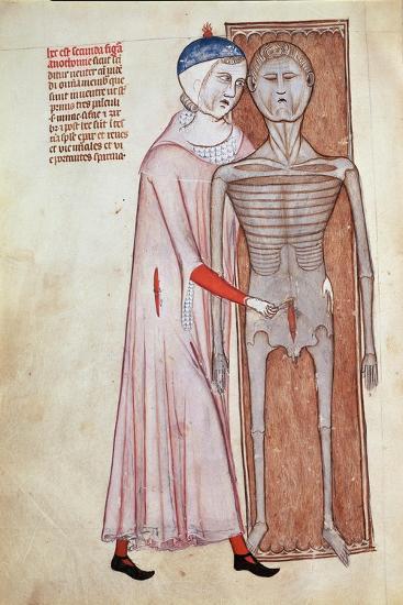 Dissection from the Abdomen of a Cadaver 1345 Giclee Print | Art.com