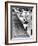 Distance Champion Emil Zatopek as He Set a New 10,000 Meter Record During the Olympic Games-Frank Scherschel-Framed Premium Photographic Print