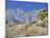 Distant Granite Peaks of Mount Whitney (4416M), Sierra Nevada, California, USA-Anthony Waltham-Mounted Photographic Print