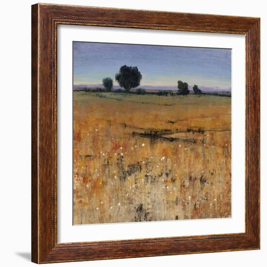 Distant Havenfield-Tim O'toole-Framed Giclee Print