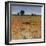 Distant Havenfield-Tim O'toole-Framed Giclee Print