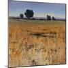 Distant Havenfield-Tim O'toole-Mounted Giclee Print