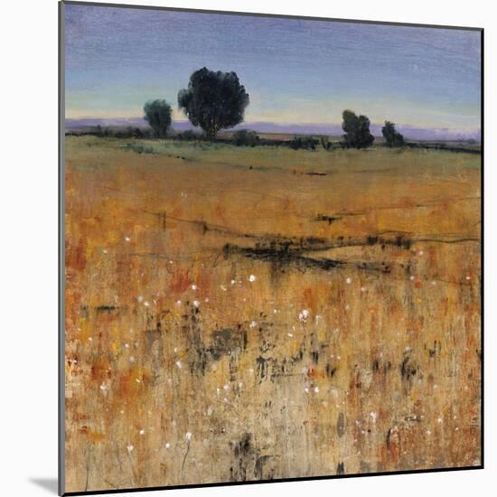 Distant Havenfield-Tim O'toole-Mounted Giclee Print