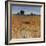 Distant Havenfield-Tim O'toole-Framed Giclee Print