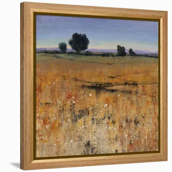 Distant Havenfield-Tim O'toole-Framed Premier Image Canvas