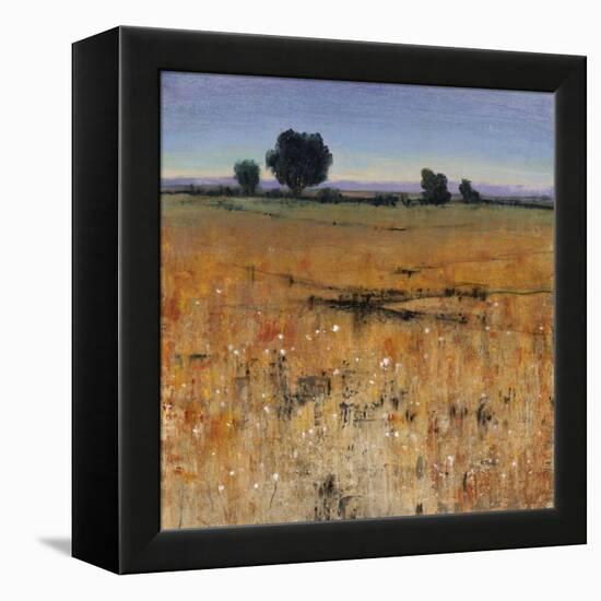 Distant Havenfield-Tim O'toole-Framed Premier Image Canvas