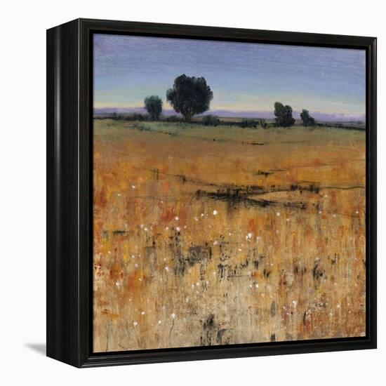 Distant Havenfield-Tim O'toole-Framed Premier Image Canvas