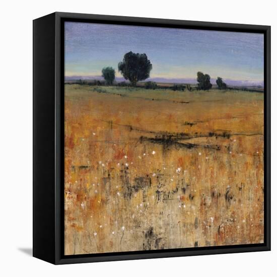 Distant Havenfield-Tim O'toole-Framed Premier Image Canvas