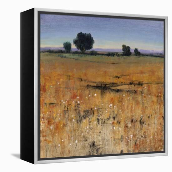 Distant Havenfield-Tim O'toole-Framed Premier Image Canvas