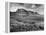 Distant of Cowboys Rounding Up Cattle with Mountains in the Background Big Bend National Park-Alfred Eisenstaedt-Framed Premier Image Canvas