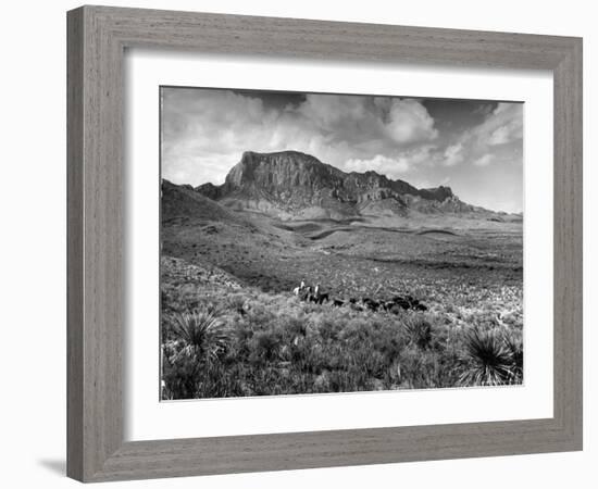 Distant of Cowboys Rounding Up Cattle with Mountains in the Background Big Bend National Park-Alfred Eisenstaedt-Framed Photographic Print