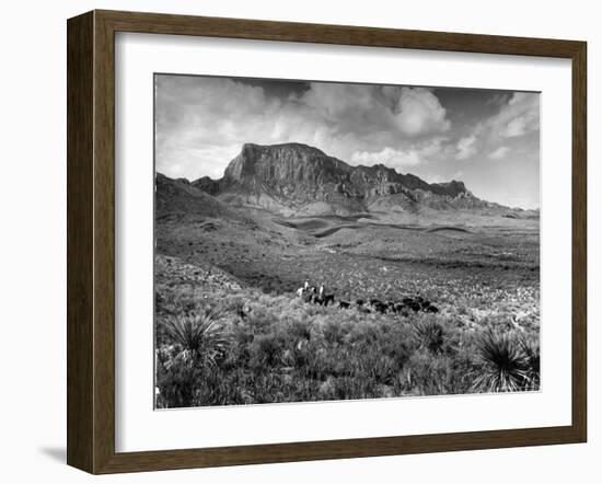 Distant of Cowboys Rounding Up Cattle with Mountains in the Background Big Bend National Park-Alfred Eisenstaedt-Framed Photographic Print