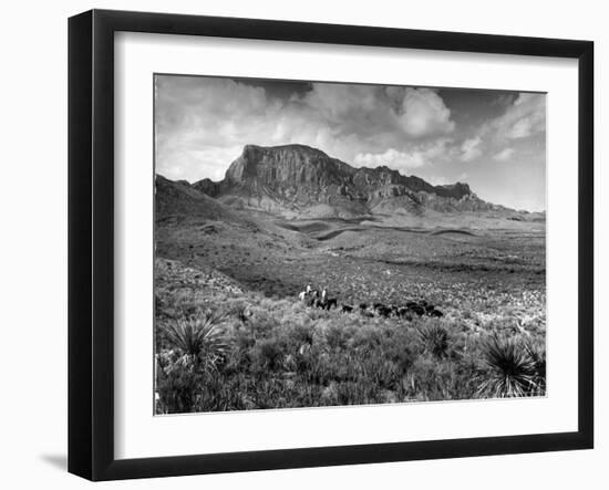 Distant of Cowboys Rounding Up Cattle with Mountains in the Background Big Bend National Park-Alfred Eisenstaedt-Framed Photographic Print