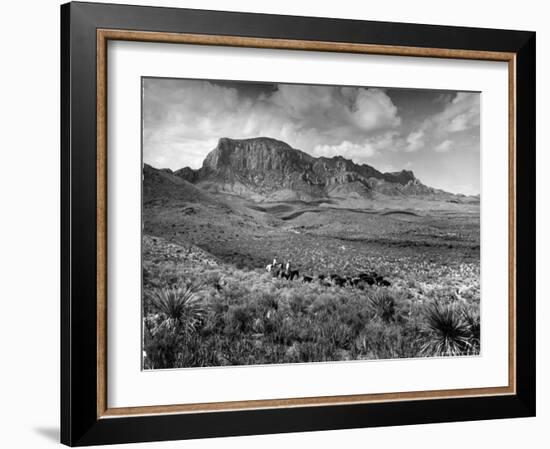 Distant of Cowboys Rounding Up Cattle with Mountains in the Background Big Bend National Park-Alfred Eisenstaedt-Framed Photographic Print