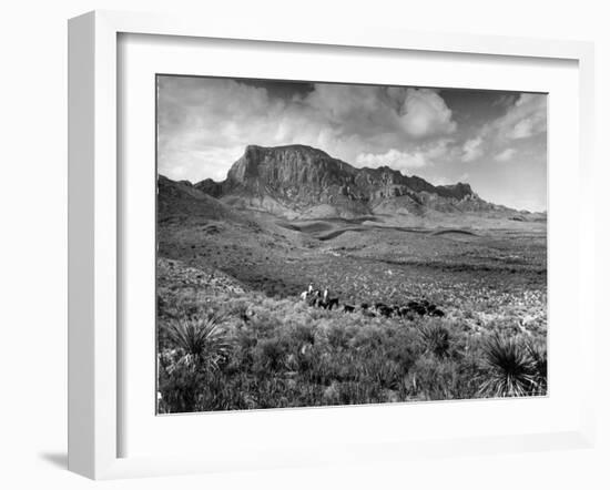 Distant of Cowboys Rounding Up Cattle with Mountains in the Background Big Bend National Park-Alfred Eisenstaedt-Framed Photographic Print