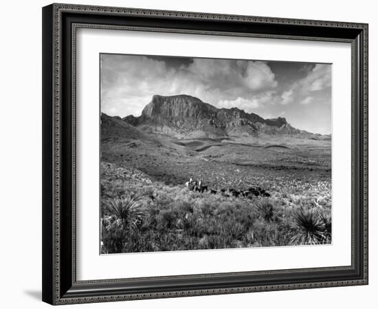 Distant of Cowboys Rounding Up Cattle with Mountains in the Background Big Bend National Park-Alfred Eisenstaedt-Framed Photographic Print