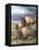 Distant Thunder-Trevor V. Swanson-Framed Premier Image Canvas