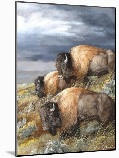 Distant Thunder-Trevor V. Swanson-Mounted Giclee Print