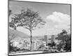 Photographic Print