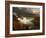 Distant View of Niagara Falls, 1830-Thomas Cole-Framed Giclee Print