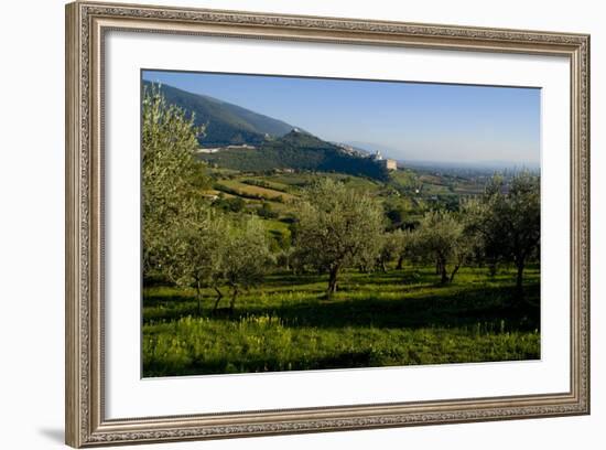 Distant View of the Church of San Francesco, Assisi, Umbria, Italy, Europe-Charles Bowman-Framed Photographic Print