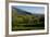 Distant View of the Church of San Francesco, Assisi, Umbria, Italy, Europe-Charles Bowman-Framed Photographic Print