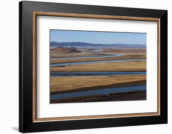 Distant Yaks Graze on the Banks of the Yellow River in Sichuan Province, China, Asia-Alex Treadway-Framed Photographic Print